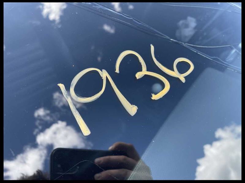 2005-2009 Ford Mustang GT Driver Left LH Side View Mirror Power Outer Glass - The Parts Farm