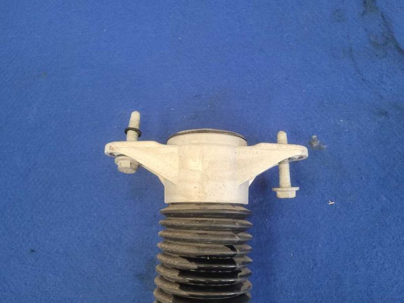 2017-2021 Tesla Model 3 Long Range Dual Motor Passenger Rear Shock 2136 - The Parts Farm