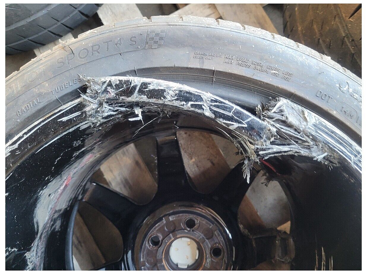 2015-2020 Shelby Mustang GT350R Rear Spoke Carbon Fiber Wheel 19x11.5 +56 96289 - The Parts Farm