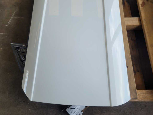 1999-2004 Ford Mustang Cobra SVT DOHC 4.6L Driver Front Door Shell Paint ZR 2386