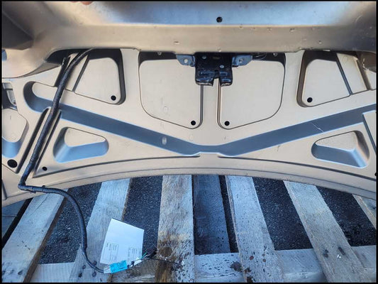 2001-2004 Ford Mustang GT Coupe Trunk Deck Lid Spoiler Wing Paint TK 2640