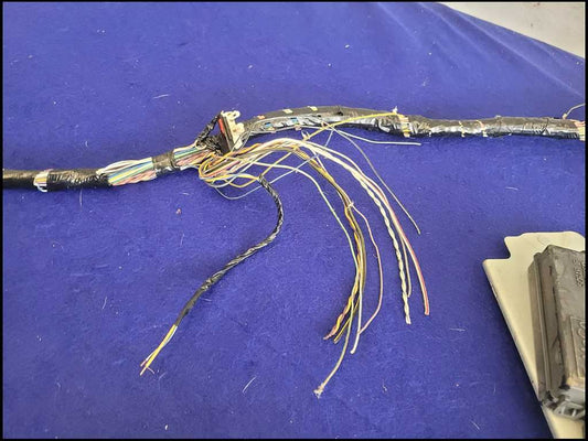 2012 Ford Mustang GT Coupe Body Harness Wire Harness Plug M/T *Read* 2666