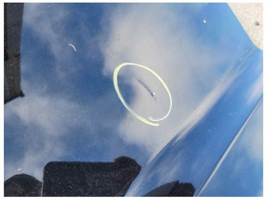 2005-2009 Ford Mustang GT Convertible Driver Front Door Shell Paint UA 2542