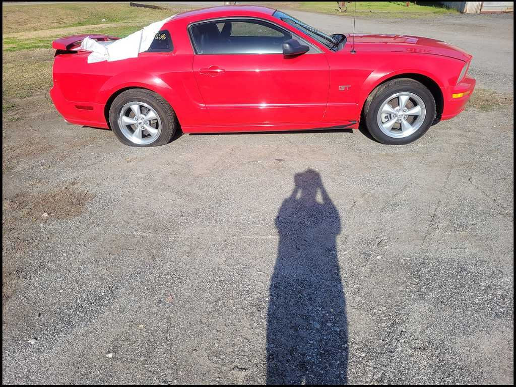 44307474