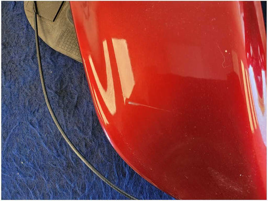 2015-2023 Ford Mustang GT S550 Pair Hood Scoops Lighted Paint RR 2934
