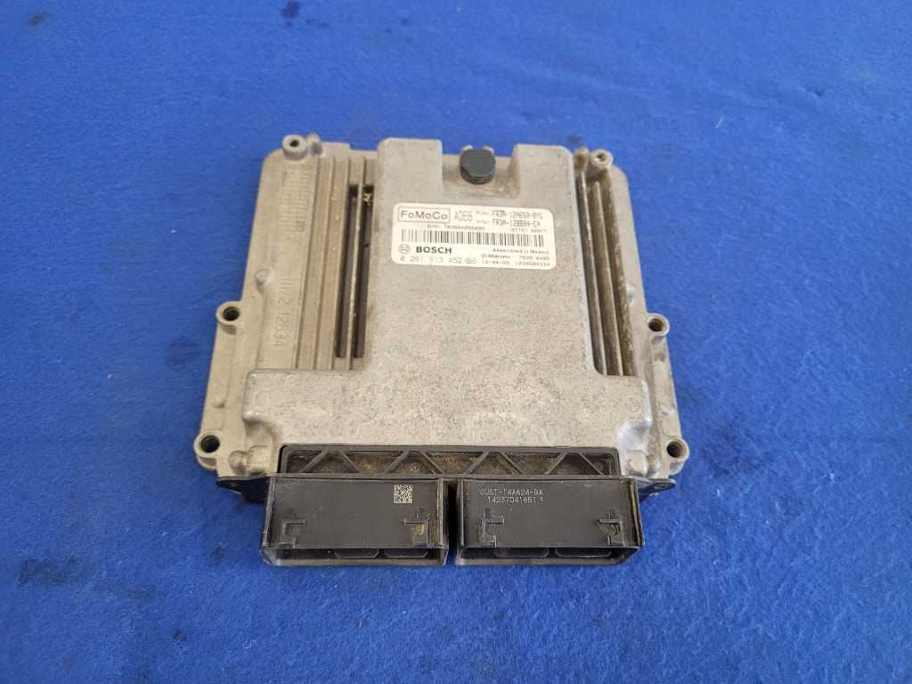 45205042