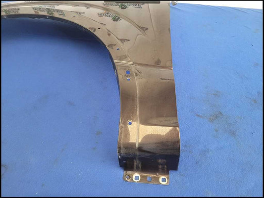 2018-2020 Ford F150 F-150 Truck Driver Front Fender Lip Molding Paint E2 2693