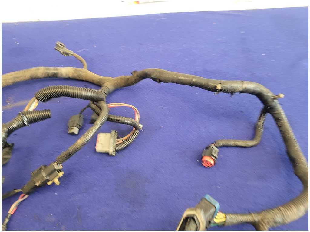 45615423