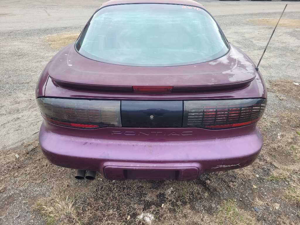 44512338