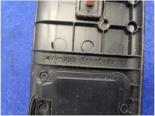 2015-2023 Ford Mustang GT S550 Pair Door Sill Plates Lighted Scuff 2758