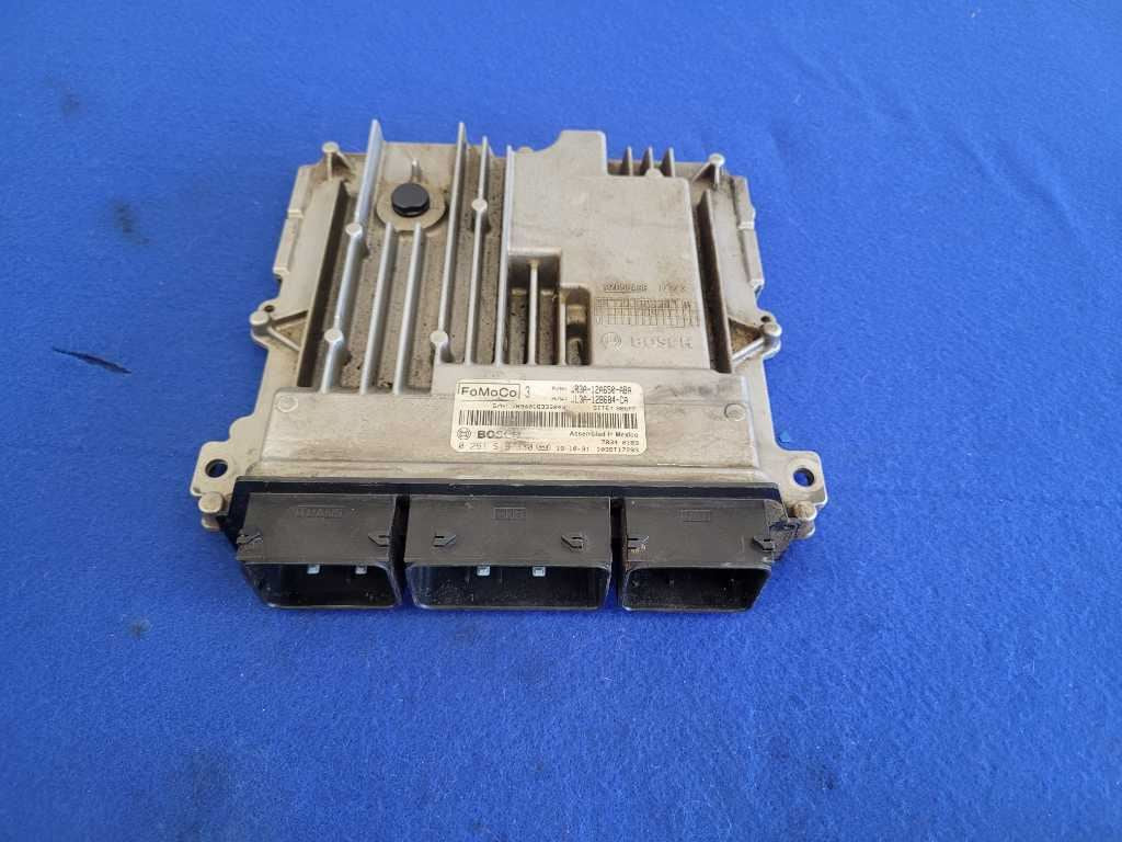 45205075