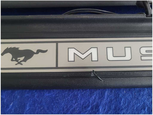 2015-2023 Ford Mustang GT S550 Pair Lighted Door Panel Scuff Plates 2878