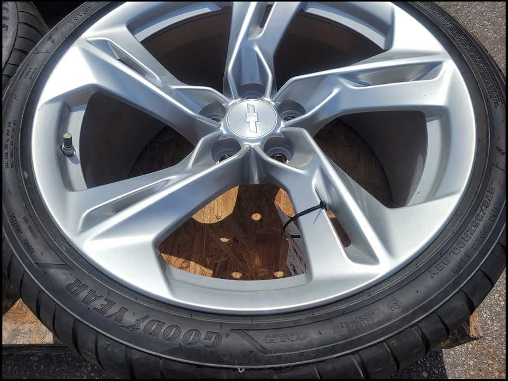 44693155