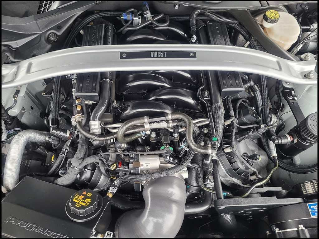 44363444