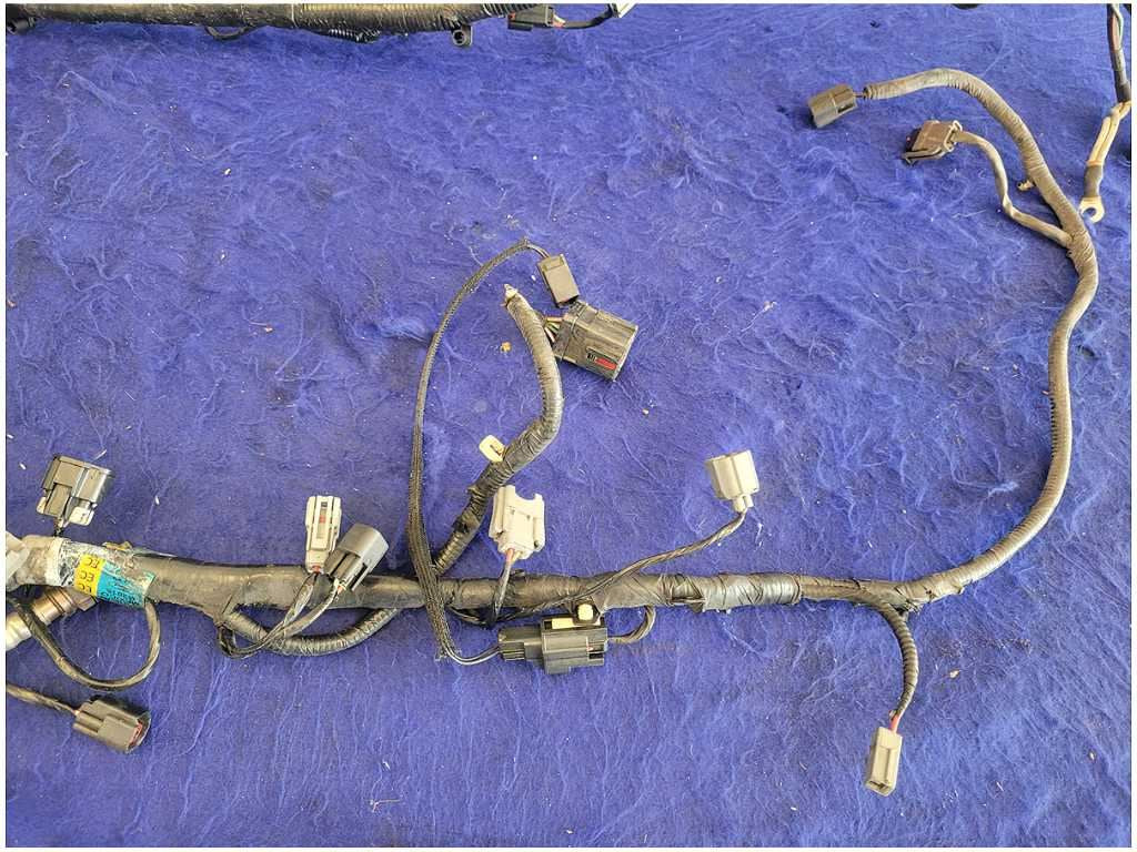 45010544