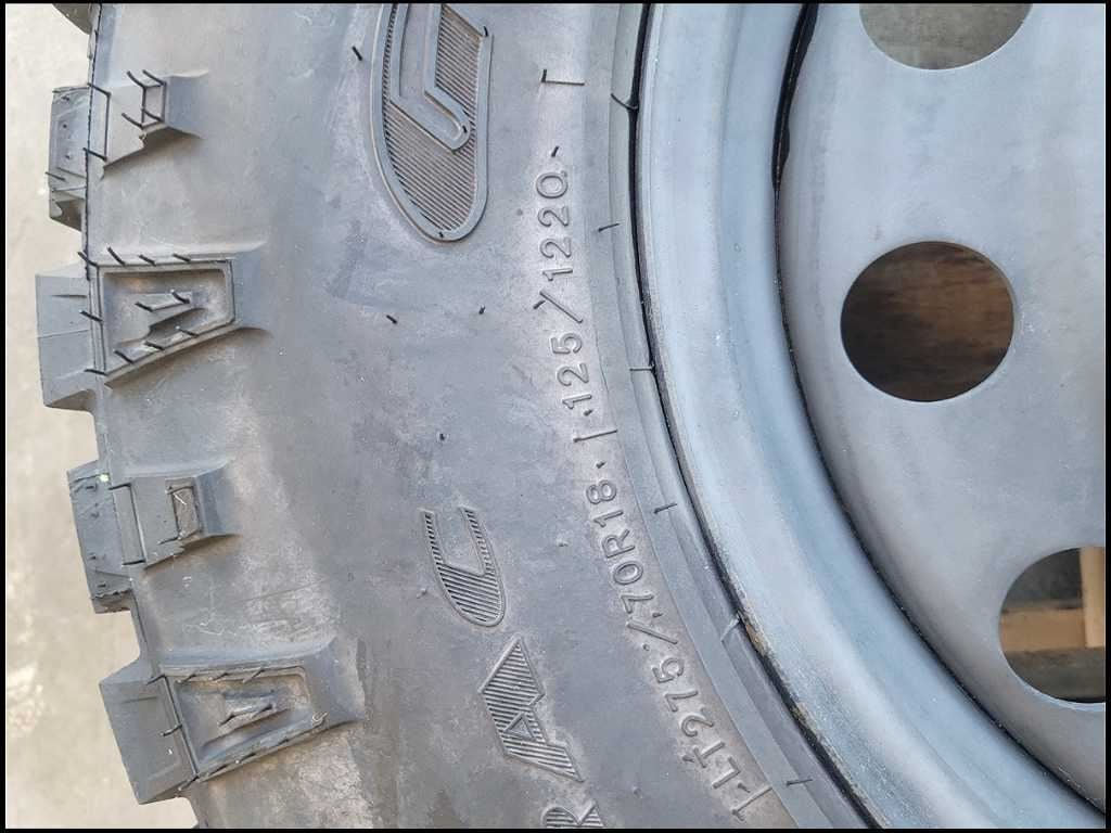 44290050