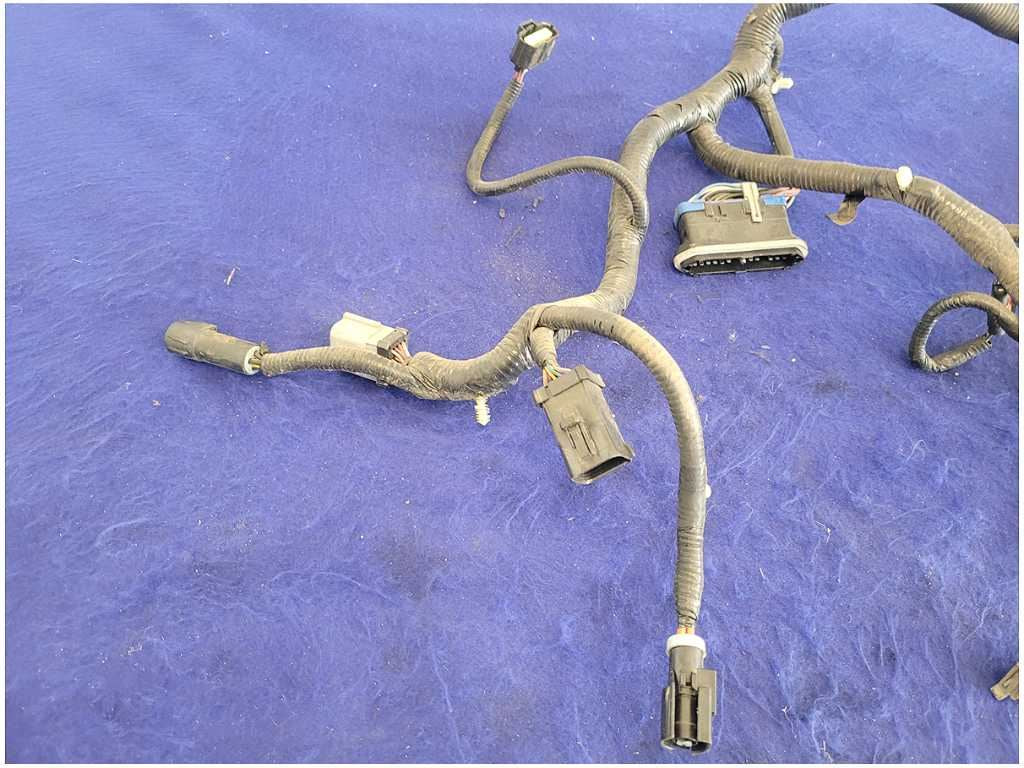 45010542