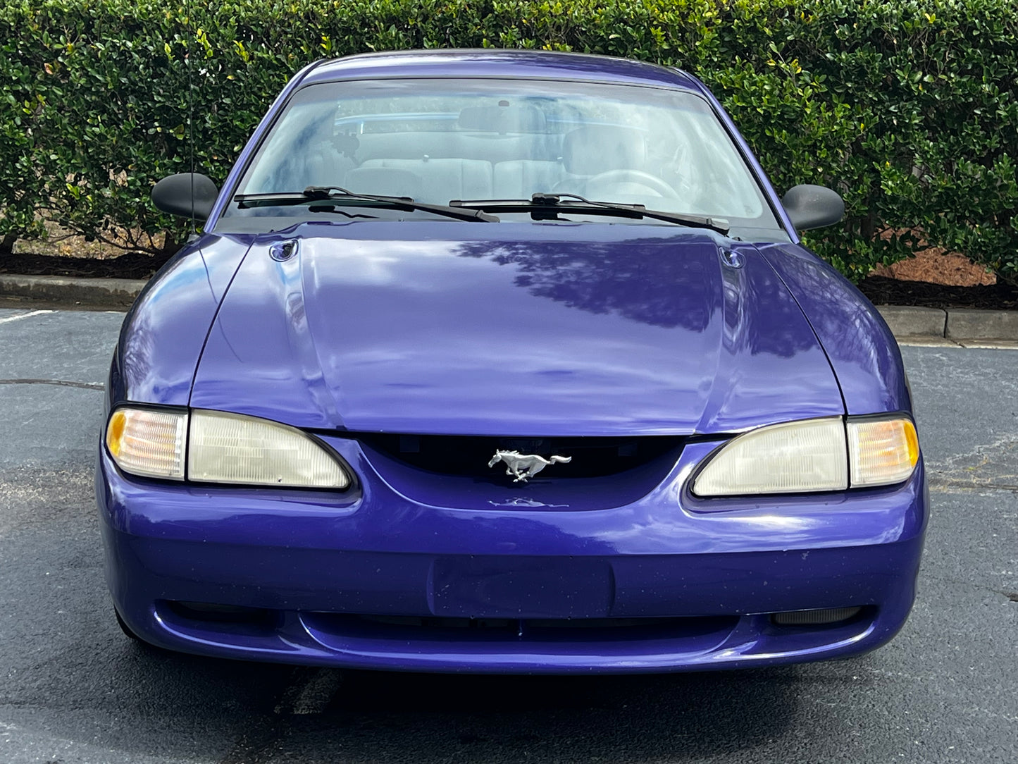 Stock 2703. 1995 Ford Mustang GT Coupe 5.0L V8 302 T5 Manny Tranny - The Parts Farm
