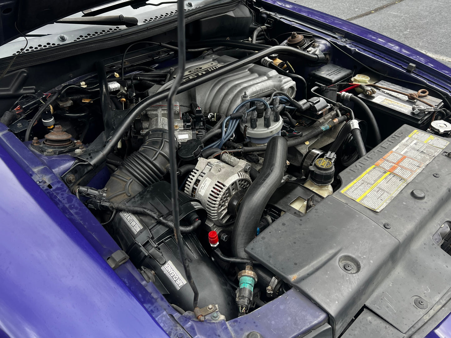 Stock 2703. 1995 Ford Mustang GT Coupe 5.0L V8 302 T5 Manny Tranny - The Parts Farm