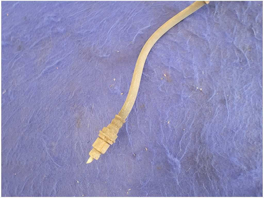 45005846