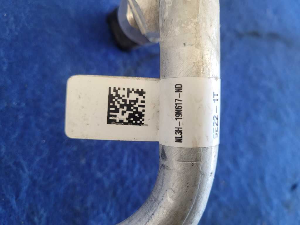 43876564