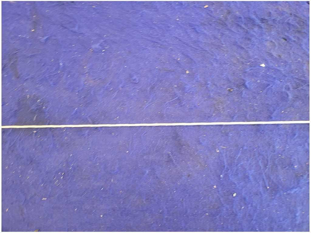 44872026