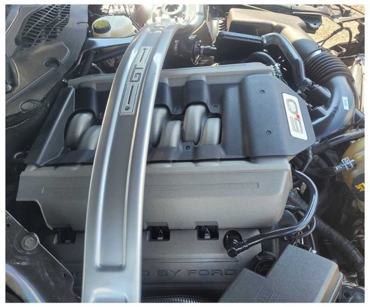 2015-2017 Ford Mustang GT S550 Convertible Finish Panel Rear Camera 2610 - The Parts Farm