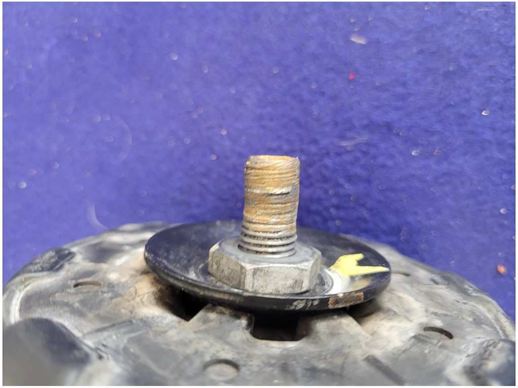 45169629