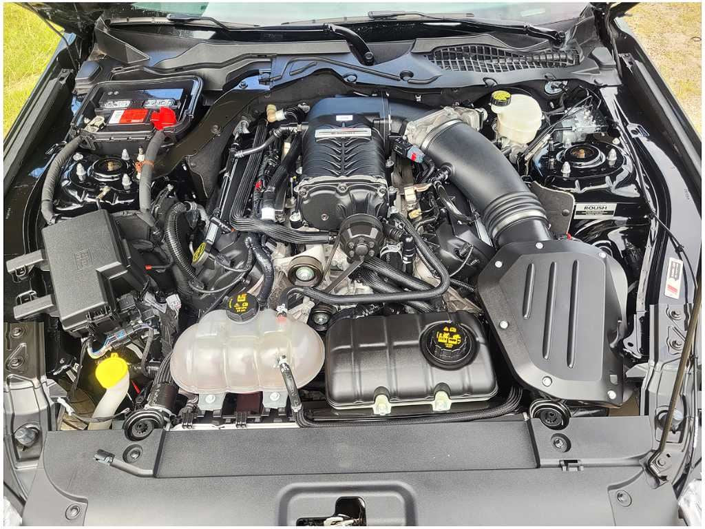 45669771