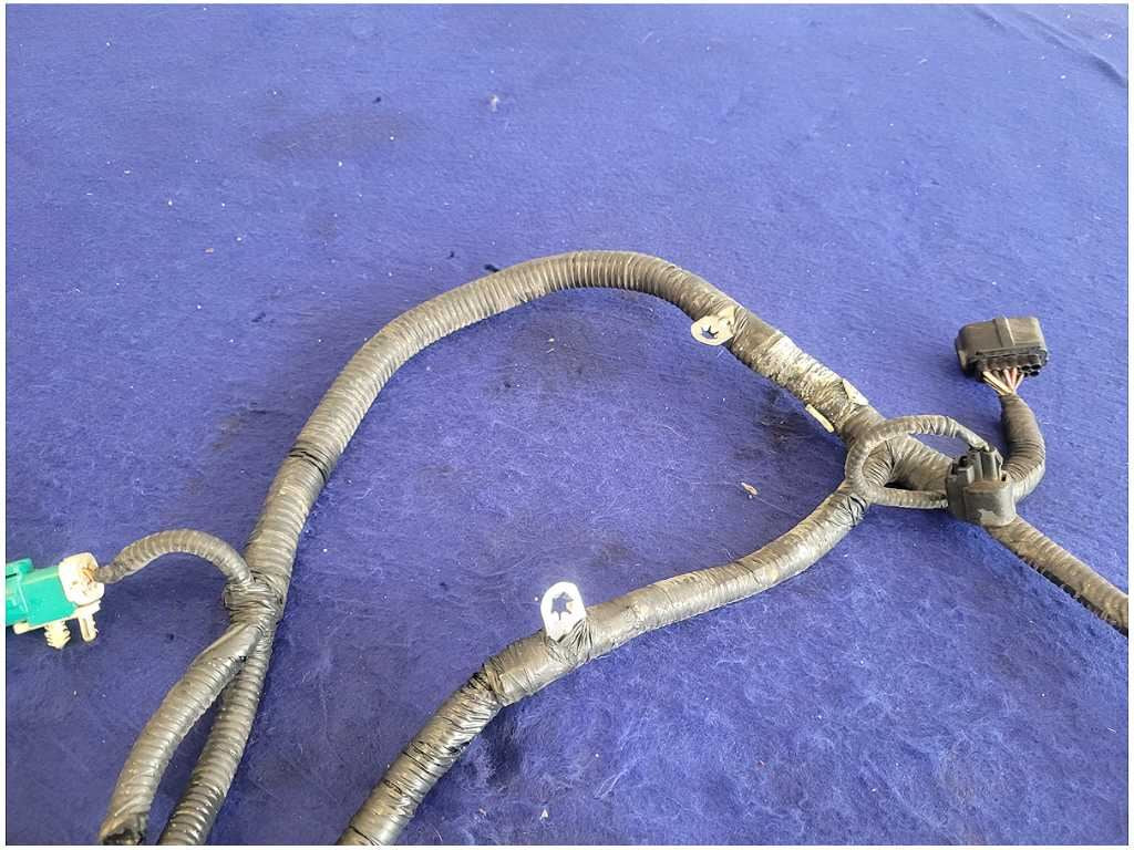 45019005