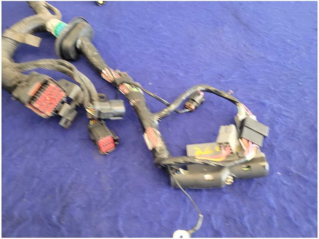 45010542