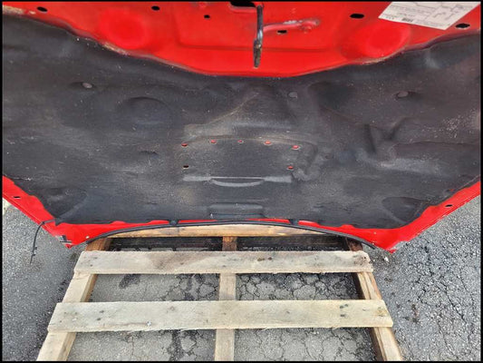 2005-2009 Ford Mustang GT 4.6L Front Hood Shell Bonnett Paint D3 2696