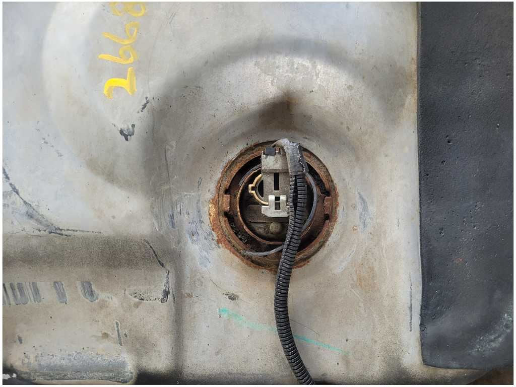45610913