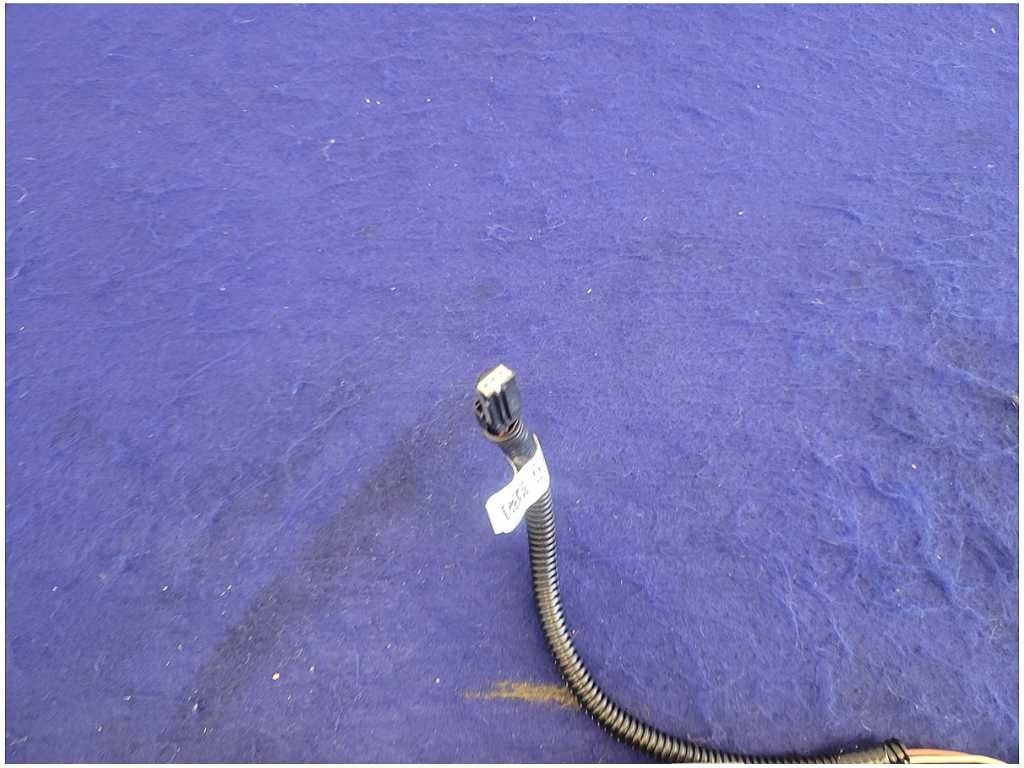 45663716