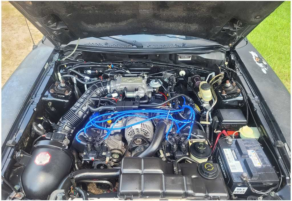 45633094