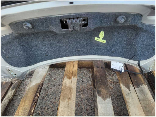 2015-2017 Ford Mustang GT S550 Trunk Deck Lid Spoiler Coupe Paint UX 2705