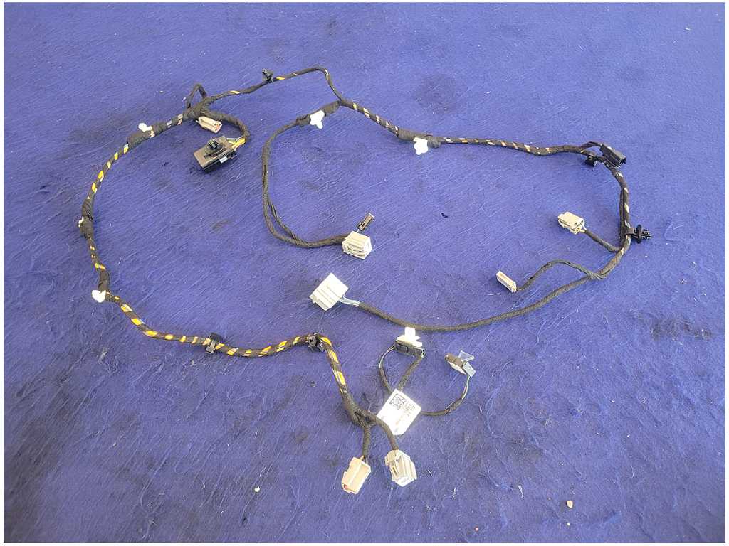 45664729