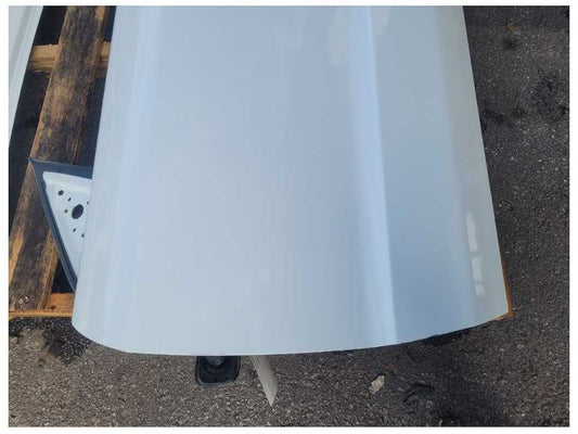 2005-2009 Ford Mustang GT 4.6L Convertible Driver Front Door Paint HP 2496