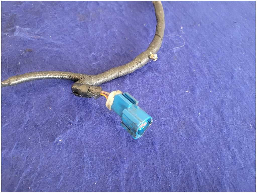 45019005