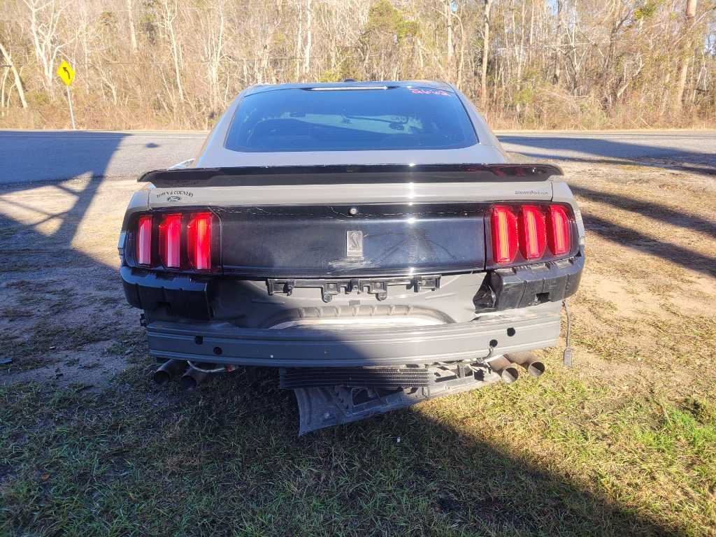 44123740