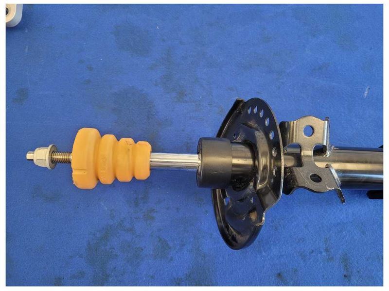 NEW TAKE OFF 2024 Ford Mustang GT 5.0L S650 Front Strut NTO LH Left M42 - The Parts Farm