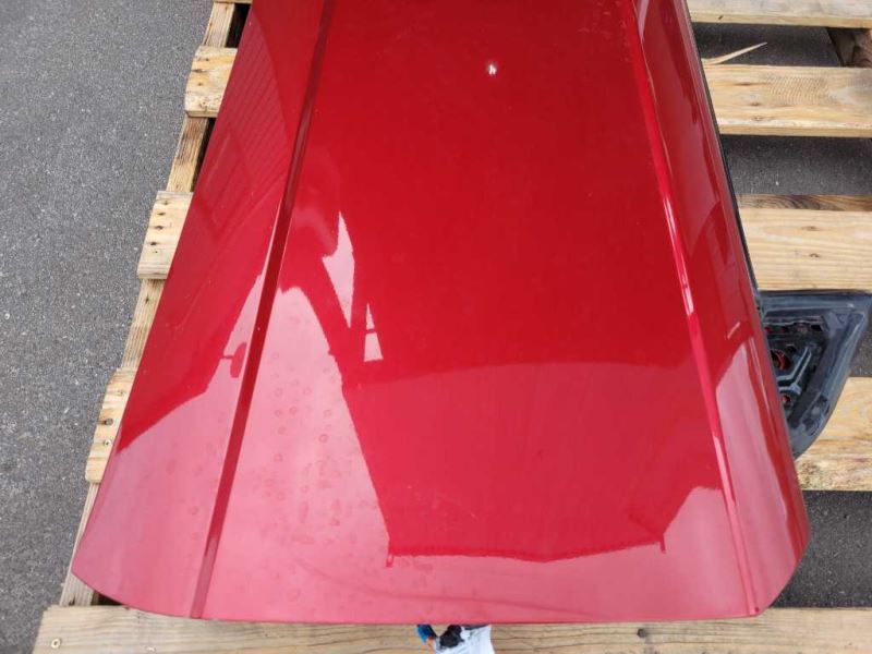 1999 - 2004 Ford Mustang Cobra SVT DOHC Passenger Right Door Convertible Paint G2 - The Parts Farm