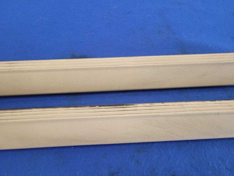 1999 - 2004 Ford Mustang GT Coupe Pair Door Sill Plates Scuff *Read* 2474 - The Parts Farm