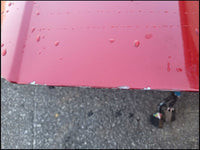2003-2004 Ford Mustang Cobra SVT DOHC Passenger Front Coupe Door Paint G2 2685 - The Parts Farm