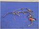2003 - 2004 Mercury Marauder 32v V8 4.6L Starter Battery Harness Wire Plug 2623 - The Parts Farm