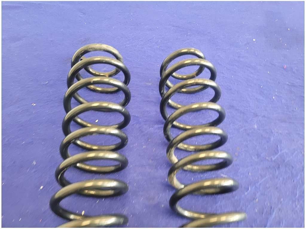 2005 - 2009 Ford Mustang GT Convertible Rear Pair Coil Springs Suspension 2723 - The Parts Farm