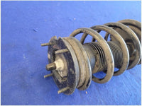 2005 - 2010 Ford Mustang GT 4.6L Front Suspension Strut Spring 2759 - The Parts Farm