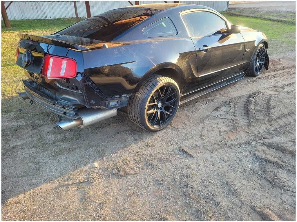 2010 - 2014 Ford Mustang GT S197 Front Passenger Fender Body Paint UA 2817 - The Parts Farm