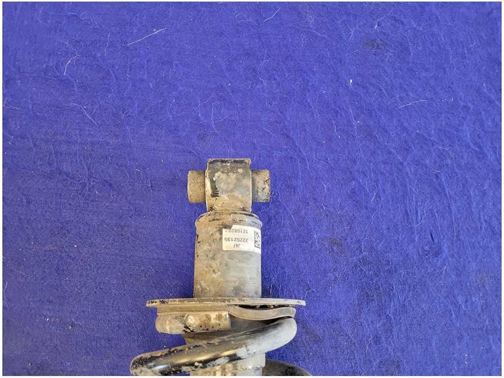 2010 - 2015 Chevrolet Camaro ZL1 SS Driver Rear Shock Suspension Spring 2742 - The Parts Farm