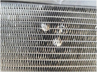 2011 - 2012 Ford Mustang Shelby GT500 Radiator Fan Engine Cooling 2710 - The Parts Farm